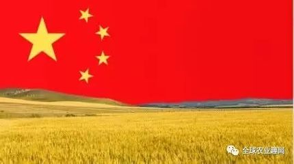 关于中国和国外的农业补贴,这篇文章最详细